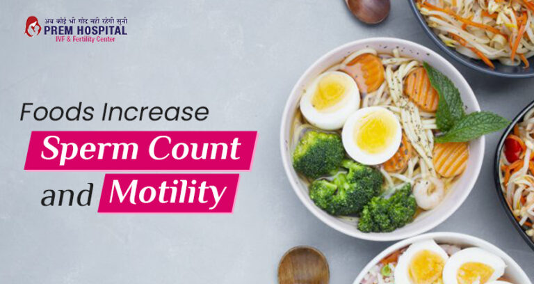 Foods To Increase Sperm Count And Motility 