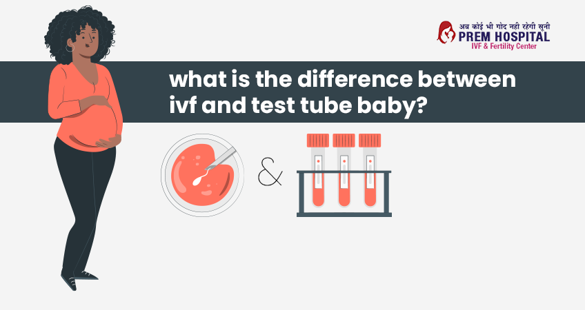 IVF vs Test tube bay